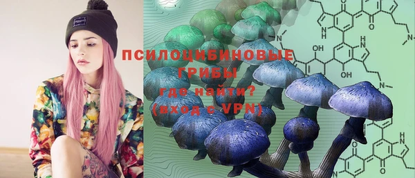 индика Бутурлиновка