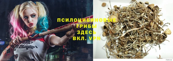 МДПВ Наволоки