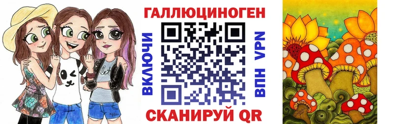 купить наркотик  Кировск  Псилоцибиновые грибы Cubensis 