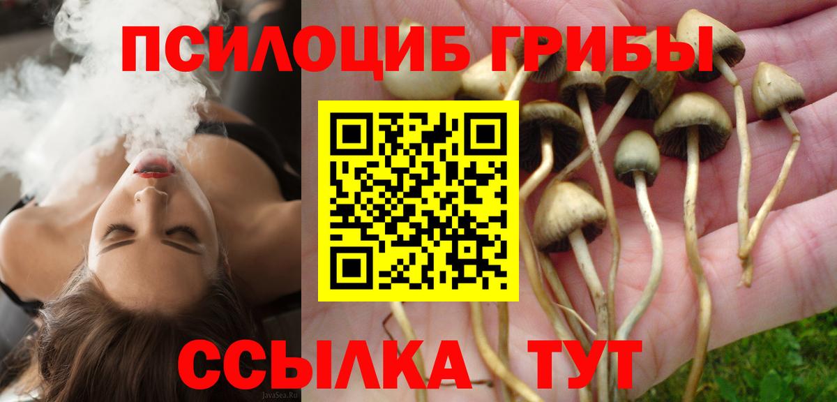 Псилоцибиновые грибы ЛСД  Вход с VPN  Кировск 