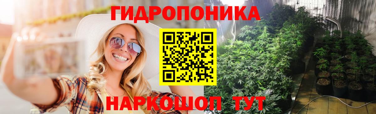Марихуана OG Kush  Вход с VPN  Кировск  Шишки марихуана SATIVA & INDICA 